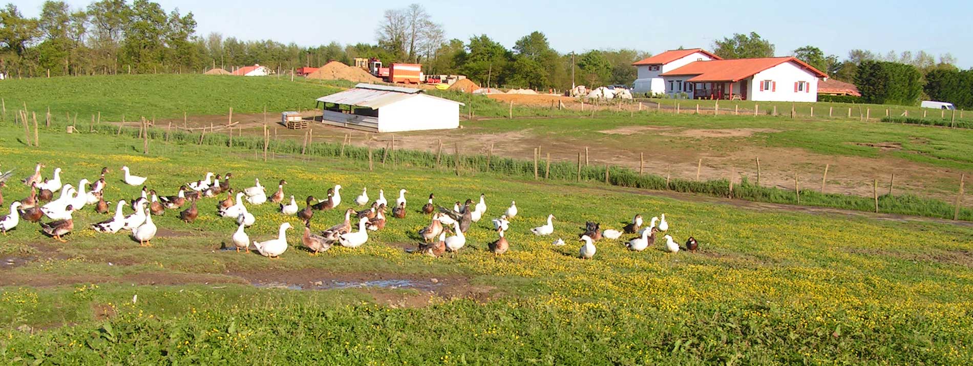 Ferme Batis